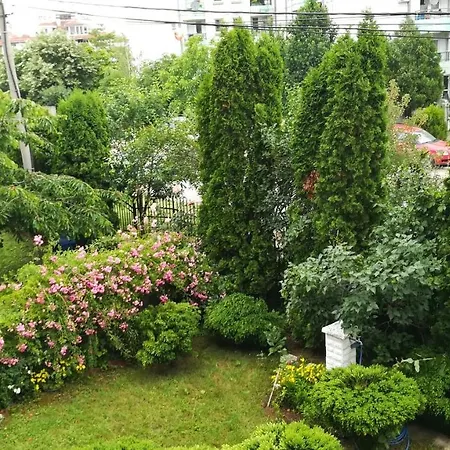 Appartement M4u